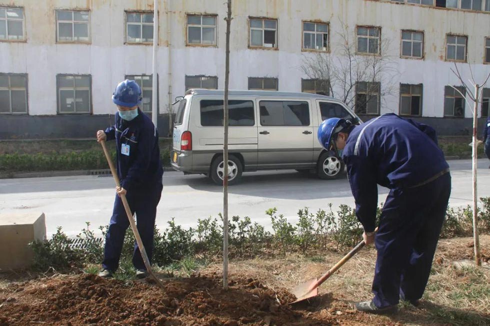 精密沖床廠家植樹